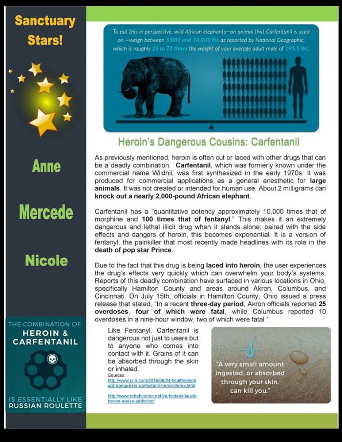 Mental Health Outpatient Clinic in Rochester, NY Villa of Hope